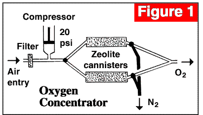 Article 6 - Figure 1